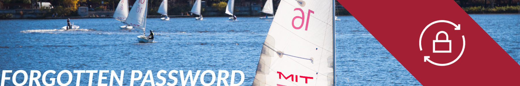 Image of the Charles River with MIT sailboats in the water with "Forgotten Password" written.